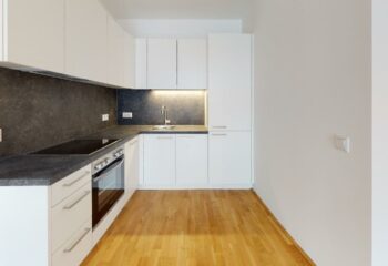 | NIEDRIGENERGIEHAUS | TOP ERSTBEZUG | AUSGEZEICHNETE LAGE | NAHE THERESA-TAUSCHER-PARK | RICHTUNG NORDEN | 2 ZIMMER | 3-D RUNDGANG | BALKON | 3. STOCK, 1210 Wien, Wohnung